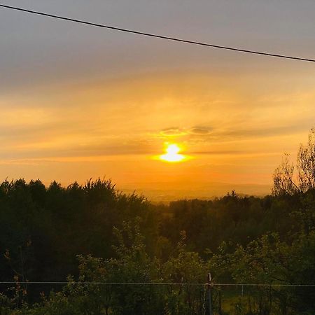Zacisze Na Podzamczu Διαμέρισμα Odrzykon Εξωτερικό φωτογραφία