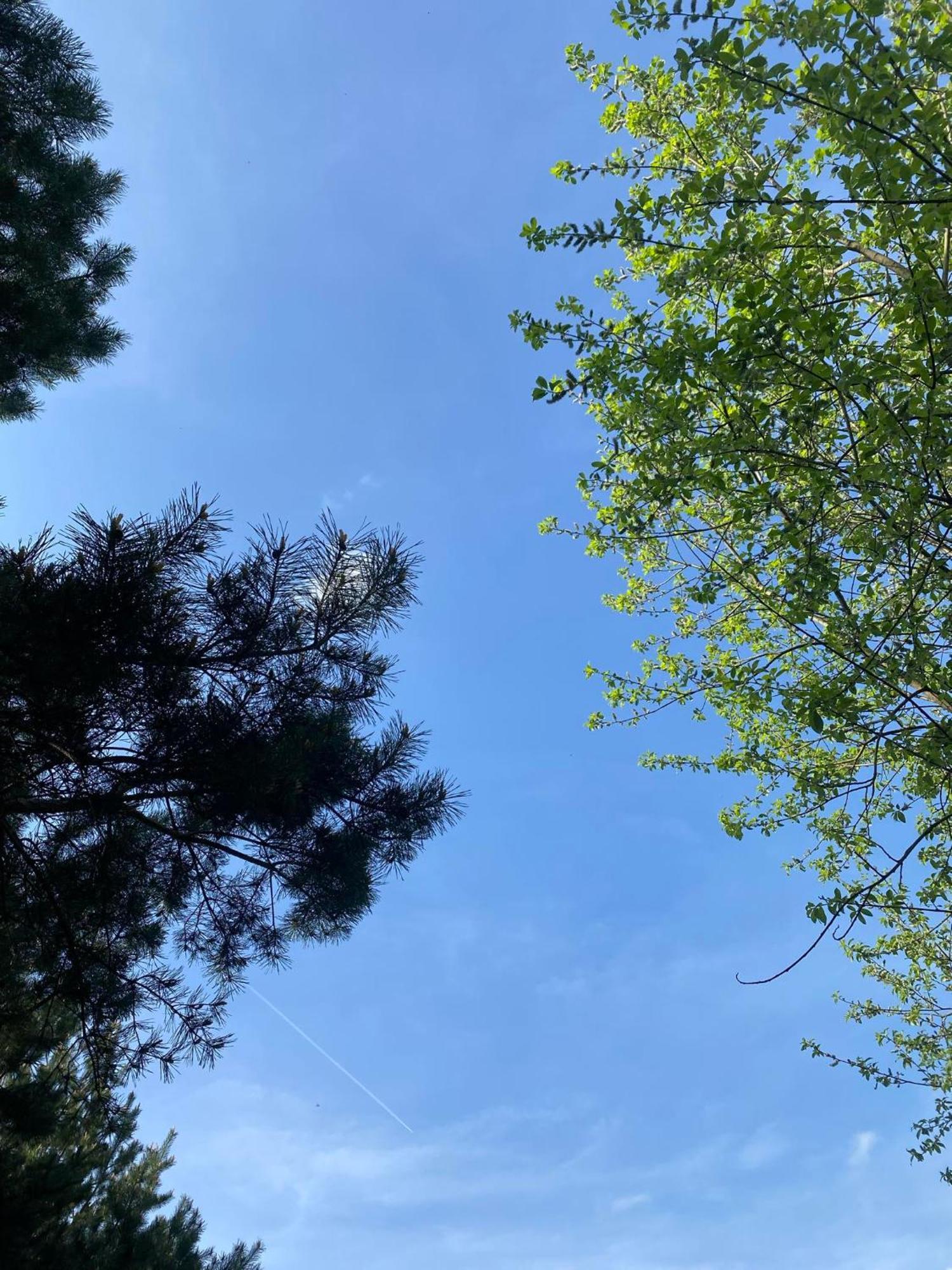 Zacisze Na Podzamczu Διαμέρισμα Odrzykon Εξωτερικό φωτογραφία
